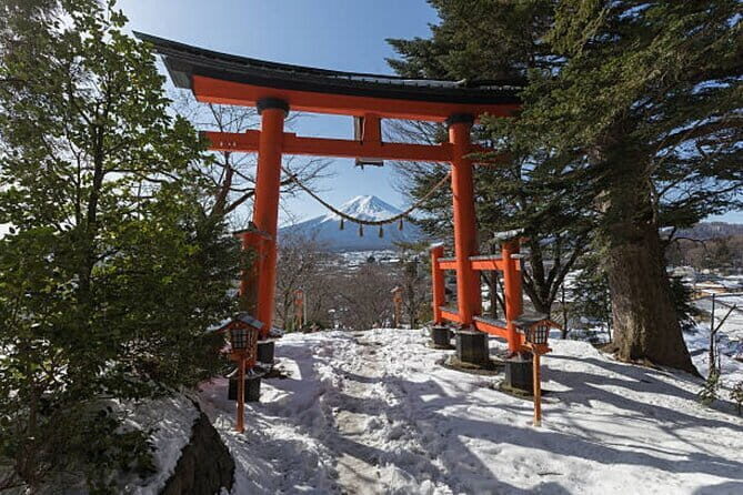 Mount Fuji Private Tour by English Pro Guide with Luxury Vehicle - A Deep Dive into the Tour Experience