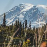 Mount Rainier Full Day Private Tour and Hike (Seattle) - A Deep Dive Into the Experience