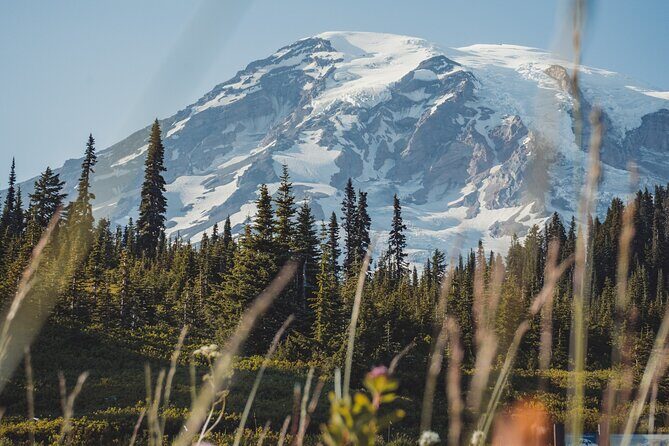 Mount Rainier Full Day Private Tour and Hike (Seattle) - A Deep Dive Into the Experience