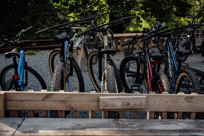 Mountain Bike Tour from The Roanoke Star - The Itinerary in Detail: From Top of Mill Mountain to Greenway