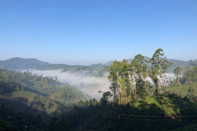 Mountain Hiking in Munnar (half day) By Munnar Info - The Scenic Highlights