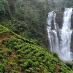 Mr.TukTuk Nuwara Eliya - Who Is This Tour Best For?