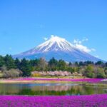 "Mt. Fuji 1-Day Private Tour with English Speaking Driver-Guide" - The Experience in Practice