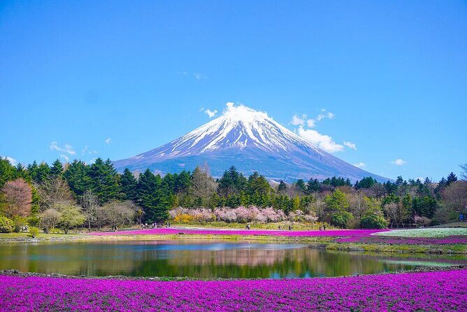 "Mt. Fuji 1-Day Private Tour with English Speaking Driver-Guide" - The Experience in Practice