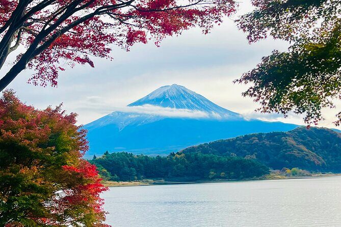 Mt. FUji and Cherry Blossom Day Trip with English Speaking Driver - What We Love About This Tour