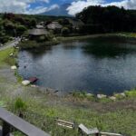Mt.Fuji and Hakone Private SightSeeing Day Tour(from Tokyo) - Why This Tour Stands Out