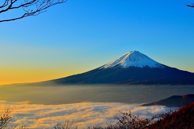 Mt. Fuji and Hakone Private Sightseeing from Tokyo ENGLISH - Who Will Love This Tour?