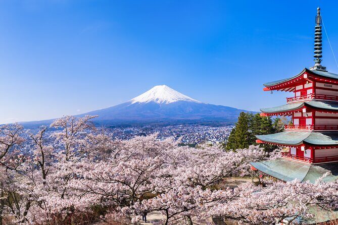 Mt.Fuji and Hakone Tour - Authentic Experiences and Helpful Tips