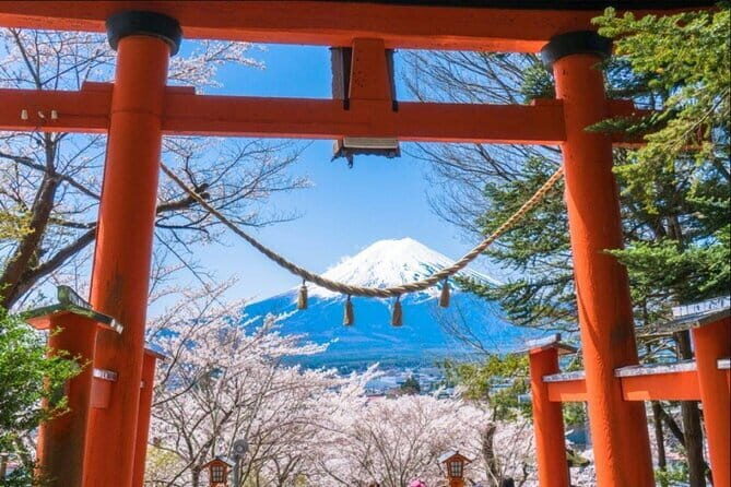 Mt. Fuji and Lake Kawaguchi Scenic 1-Day Bus Tour From Tokyo - Who is This Tour Best For?