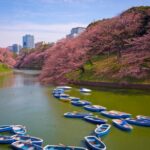 Mt Fuji and Tokyo - 2 Day Private Car Tour "ENGLISH DRIVER" - Who Is This Tour Best For?
