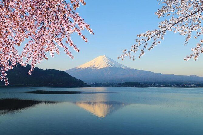 Mt Fuji Area Private Guided Tours in English-Nature up close, quiet, personal - The Experience for Different Travelers