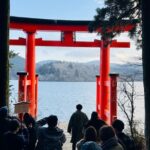 Mt. Fuji, Cherry Blossom & Shiba Sakura Pvt. Day Tour - Considerations and Potential Drawbacks