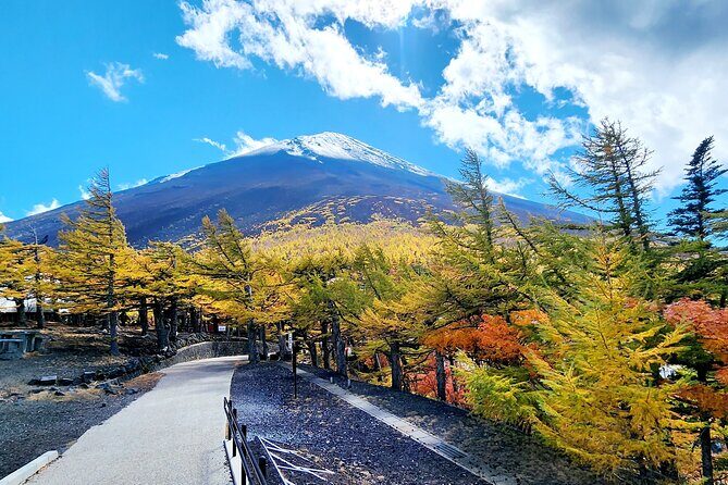 Mt Fuji Day Tour by Car With English Speaking Chauffeurs - Authentic Experiences and What Reviewers Loved