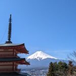 Mt. Fuji Day Trip from Tokyo with English Speaking Driver - The Nuts and Bolts: Practical Details and Value