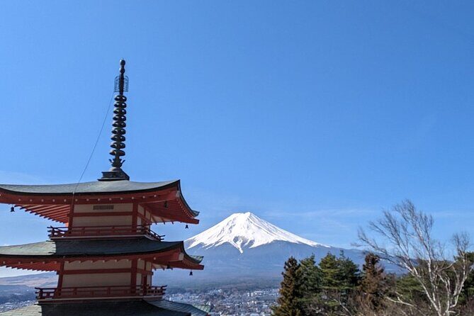 Mt. Fuji Day Trip from Tokyo with English Speaking Driver - The Nuts and Bolts: Practical Details and Value