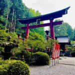 Mt. Fuji & Hakone Cherry Blossom private One Day Tour - Final Thoughts