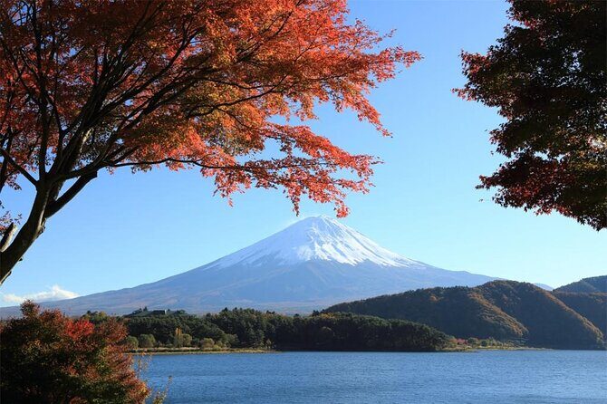 Mt Fuji & Hakone Cruise, Drum Show Bus 1 Day from Tokyo Sta. Area - Authentic Insights from Travelers