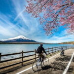Mt fuji & Hakone customizable day tour w/ English speaking guide - Why This Tour Works