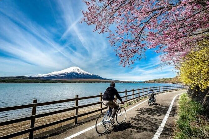 Mt fuji & Hakone customizable day tour w/ English speaking guide - Why This Tour Works