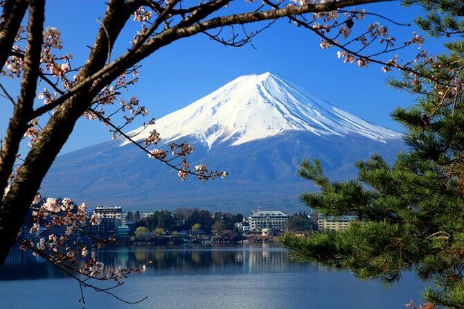 Mt. Fuji, Hakone Full-Day Private Tour with English Driver Guide - Stop 2 & 3: Lake Kawaguchiko & Activities