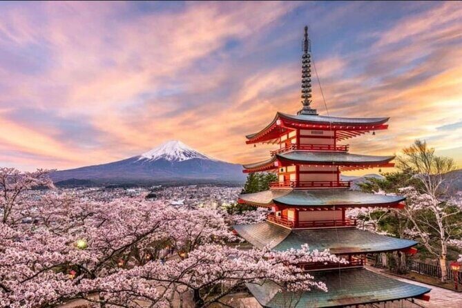 Mt. Fuji, Hakone Full-Day Private Tour with English Driver - Final Thoughts: Who Will Love This Tour?