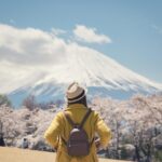 Mt Fuji & Hakone Private Day Tour w/ English Speaking Driver - The Details of the Tour: What to Expect