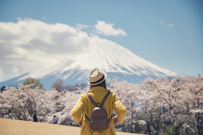 Mt Fuji & Hakone Private Day Tour w/ English Speaking Driver - The Details of the Tour: What to Expect