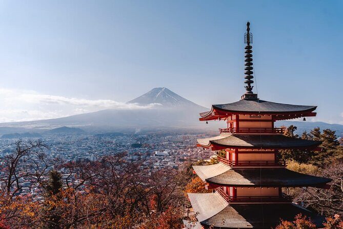 Mt Fuji, Hakone Private Tour by Car with Pickup - Travel Experience and Practicalities