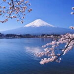 Mt Fuji & Hakone Private Tour from Tokyo & Yokohama - Key Points