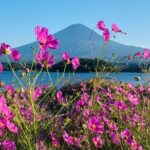 Mt.Fuji Hakone Private Tour with English Speaking Chauffeur - Stop 3: Lake Kawaguchiko