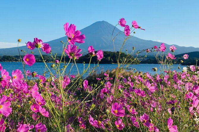 Mt.Fuji Hakone Private Tour with English Speaking Chauffeur - Stop 3: Lake Kawaguchiko