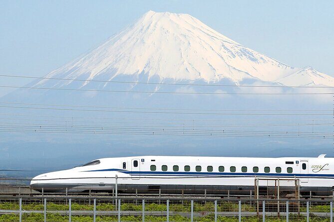 Mt. Fuji & Hakone Tour Tokyo hotel pick-up by Grayline - Who is This Tour Best Suited For?