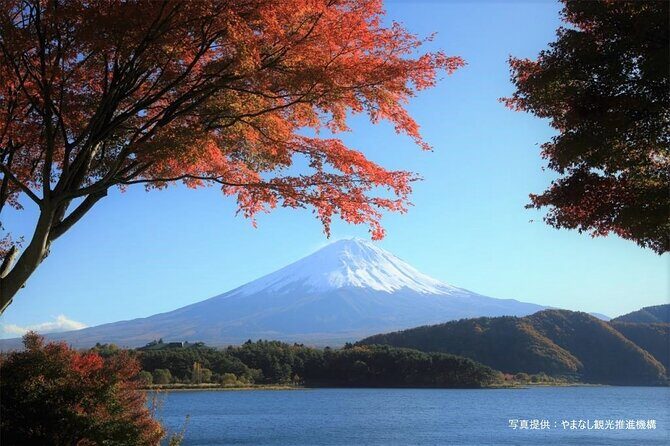 Mt.Fuji, Oishi Park & Arakurayama Sengen Park Bus Tour From Tokyo - The Sum Up: Who Will Love This Tour?