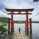 Mt. Fuji or Hakone Private Sightseeing Day Trip From Tokyo - The Detailed Experience: What to Expect on the Tour