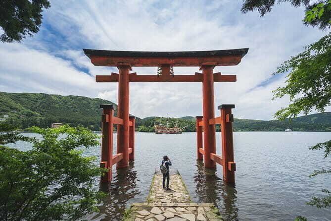 Mt. Fuji or Hakone Private Sightseeing Day Trip From Tokyo - The Detailed Experience: What to Expect on the Tour