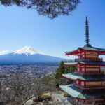 Mt. Fuji Private Chartered Tour with Nature & Wasabi Farm - In-Depth Look at the Tour Experience