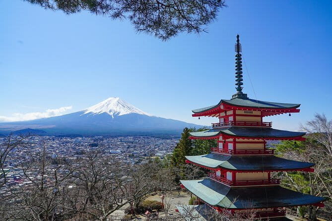 Mt. Fuji Private Chartered Tour with Nature & Wasabi Farm - In-Depth Look at the Tour Experience