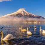 Mt Fuji Private Day Trip from Tokyo with English speaking driver - What We Loved and Considered