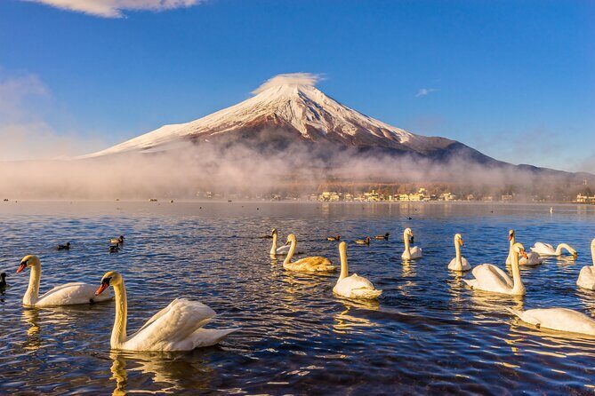 Mt Fuji Private Day Trip from Tokyo with English speaking driver - What We Loved and Considered