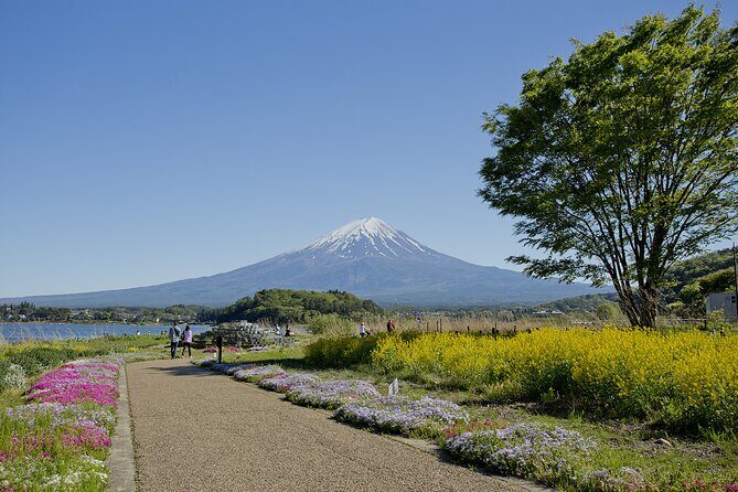 Mt.Fuji Private SightSeeing Day Tour (From Tokyo) - Transport and Comfort: What You Can Expect
