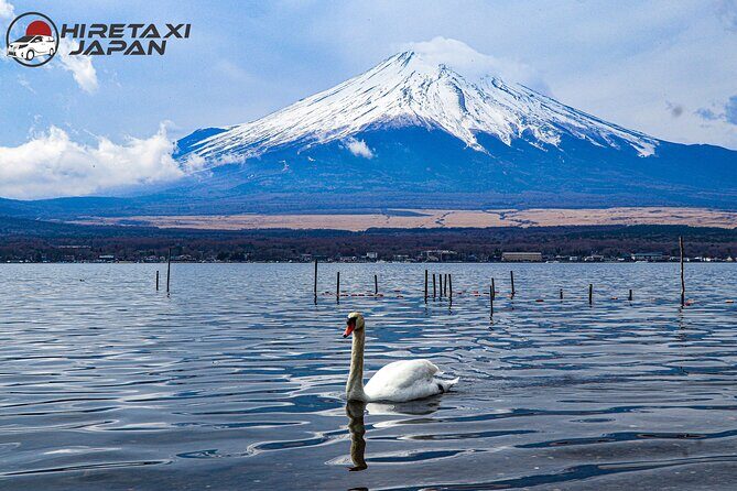 MT. FUJI/ Private Tour delivered and guided by a top-tier driver - The Practicalities