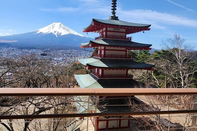 Mt Fuji Private Tour with English Speaking Driver - Who Should Book This Tour?