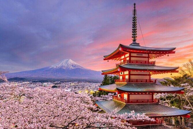 Mt. Fuji Private Tour with English Speaking Driver - Practical Details: Transportation, Pricing, and Tips