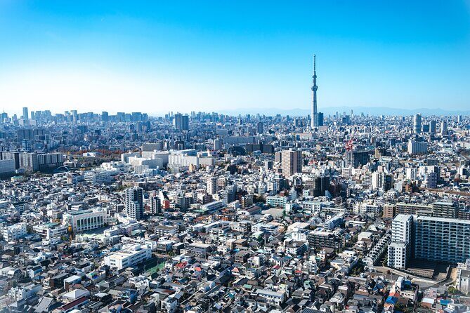 Mt. Fuji & Tokyo Luxury Helicopter Tour90Mins-5paxBreathtaking! - An In-depth Look at the Helicopter Tour Experience
