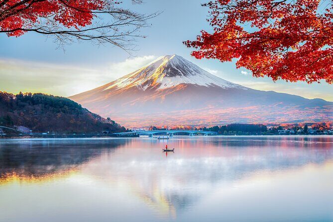 Mt Fuji Tour with Private English Speaking Driver from Tokyo - In-Depth Breakdown of the Itinerary