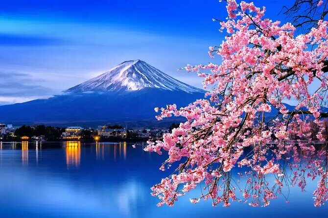 Mt. Fuji Tours with Kawaguchi Lake Ropeway View English Speaking - Who Should Consider This Tour?