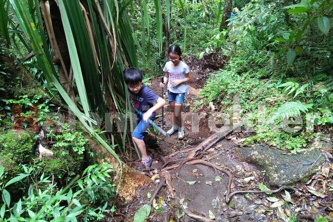 Mt Rinjani Trekking 2 Days 1 Night (Senaru Crater Rim) - Considerations and Tips