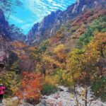Mt. Seorak+Nami Island+Garden of Morning Calm Day Trip from Seoul - Who Is This Tour Best For?