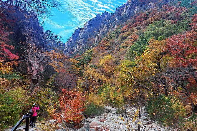 Mt. Seorak+Nami Island+Garden of Morning Calm Day Trip from Seoul - Who Is This Tour Best For?