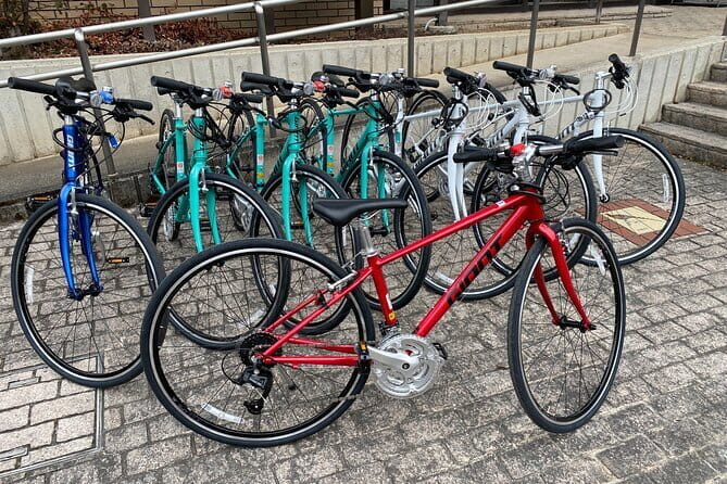 MTB, Hybrid or Gravel Road Bike Rental in Okutama, Tokyo - The Value of the Experience